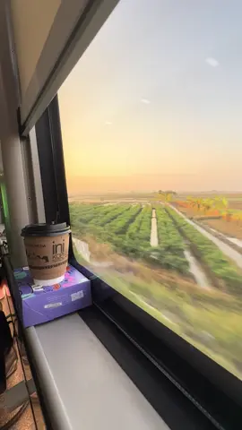 Ngopi dgn view sunset dijendela kereta 🚈 #progo #kereta #keretaapi #keretaapiindonesia #keretaapikita #fyp #fyppppppppppppppppppppppp #jogja #jogja24jam #yogya #yogyakarta #railway #railfansindonesia #railfan #railfans #railfansoftiktok #kai #kai121 #newgeneration #keretaprogo #sunset #sunsetlover #sunsetkereta #kopikereta #inikopikereta 