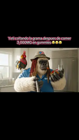 Yeti coltando la grama despues de 3,000MG en gummies 😂😂😂 #puertorico #boricua #fyp #foryoupage #viralvideo #makeitvirаl #funnyvideos 