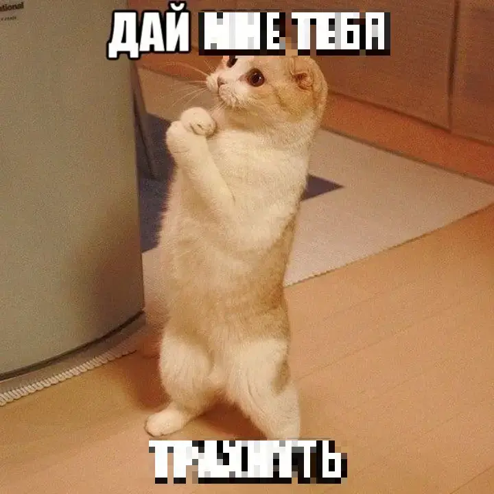 ❕️ТГ С Х€НТОМ В БИО❕️