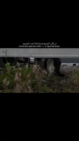 ...                                                                                                                                                                          #snejno #islamicreminder #foryoupage #foryou #islamic_video 