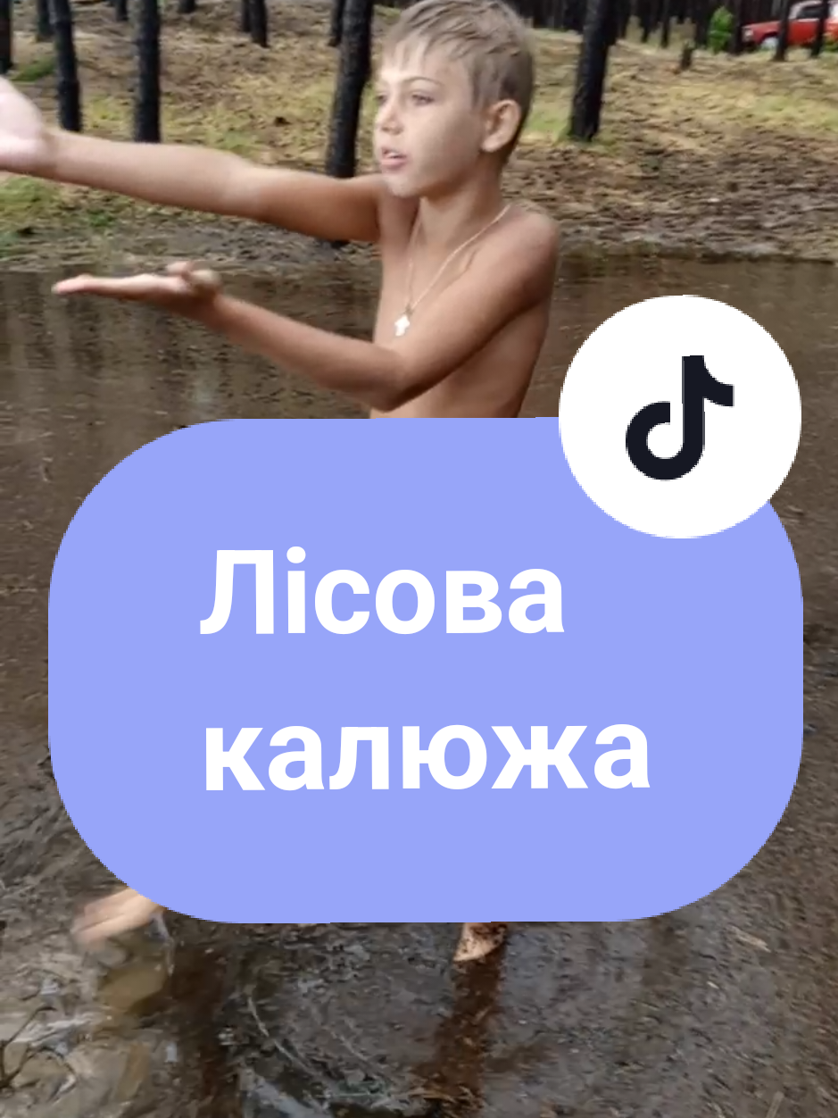 Лісова калюжа #життяєлісеязукраїни 