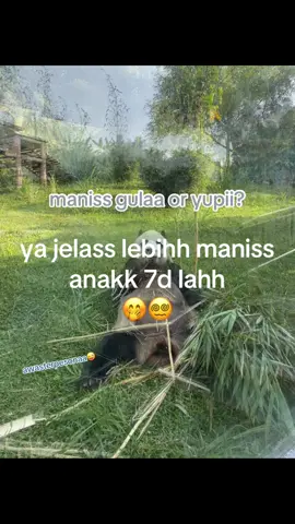 jelass😚#fypage #class7d🧚🏻‍♀️ #lewatberanda 