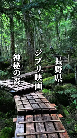 ☟店舗情報はこちら☟ ┈┈┈┈┈┈┈┈┈┈┈┈┈┈ まるでジブリ映画『もののけ姫』の世界へ足を踏み入れたかのような神秘的な雰囲気が魅力の北八ヶ岳の「苔の森」 約500種類もの苔が生い茂り、倒木の上にまでびっしりと緑の絨毯が広がっています😳 この原生林の中に広がる「白駒池」は標高2100m以上にある天然湖としては日本最大の規模を誇ります👏 遊歩道や木道が整備されており、40分ほどで湖を一周できるので登山をしない方や家族連れにもぴったり🙆 高見石展望台は、白駒池や北アルプスなどの壮大な景色を一望できる人気の展望スポットで、運が良ければ雲海や朝焼けに包まれる絶景を見下ろすこともでき、ベテランの登山者も美しさに心奪われます👏 展望台の裏にある山小屋「高見石小屋」では、ハイキングで疲れた体と心に染み渡る「あげパン」が名物で、注文後に揚げるため、できたてのアツアツを頬張れるのが魅力👌 高温の油で艶やかに揚がったパンにきなこ・ココア・抹茶・チーズ・黒ゴマのフレーバーがたっぷりまとい、ふんわり軽やかな食感と香ばしい香りが広がります☺️ 北八ヶ岳の澄んだ空気の中、山小屋のテラスで景色を眺めながら贅沢な時間を過ごせます☕️ 静かで雄大な自然の中、日常を忘れて心からリフレッシュしたい方にこそおすすめの“癒しと発見”の場所💁 気になる方はぜひ『保存』して行ってみてください😋 ┈┈┈┈┈┈┈┈┈┈┈┈┈┈ ● 店名 高見石小屋 ● 所在地 長野県南佐久郡小海町豊里5926 ● 営業時間 10:00〜14:00 ● 定休日 7月水曜、8月火曜、9月水曜、10月火曜 ● 電話番号 080-2188-4429 ● アクセス 白駒の池入り口有料駐車場から徒歩50分 ● 駐車場 白駒の池入り口有料駐車場 1日料金（普通車600円、バイク200円） ┈┈┈┈┈┈┈┈┈┈┈┈┈┈ 【メニュー（一部）】 ☑︎ あげパン2種 500円 ☑︎ あげパン全5種セット 1100円 ☑︎ コーヒー 500円 ☑︎ コケモモジュース 550円 ☑︎ カリンジュース 550円 ☑︎ 信州リンゴジュース 550円 ☑︎ 八ヶ岳産いちごのソーダ 650円 ┈┈┈┈┈┈┈┈┈┈┈┈┈┈ #長野グルメ #長野カフェ #長野観光 #長野旅行 #長野県 