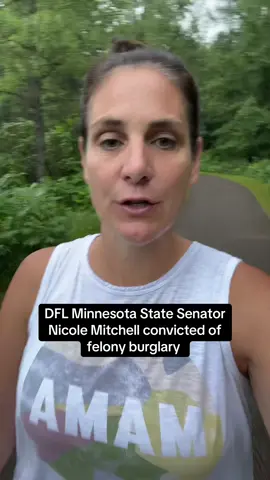 It looks like the DFL is going to lose a seat in the Minnesota Atate Senate after the conviction of Nicole Mitchell. Will the DFL be able to hold it? #dfl #gop #minnesota #mn #senate #mom #workingmom #law 
