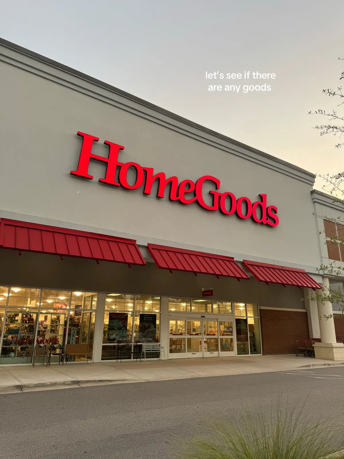 #homegoods #homegoodsfinds #shoppinghaul #shopping 