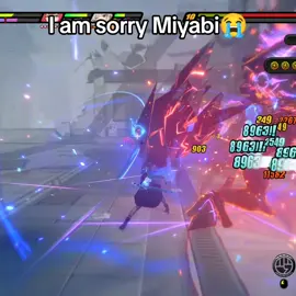 Sorry... #zenlesszonezero #hoyoverse #hoshimimiyabi #miyabi #fyp 