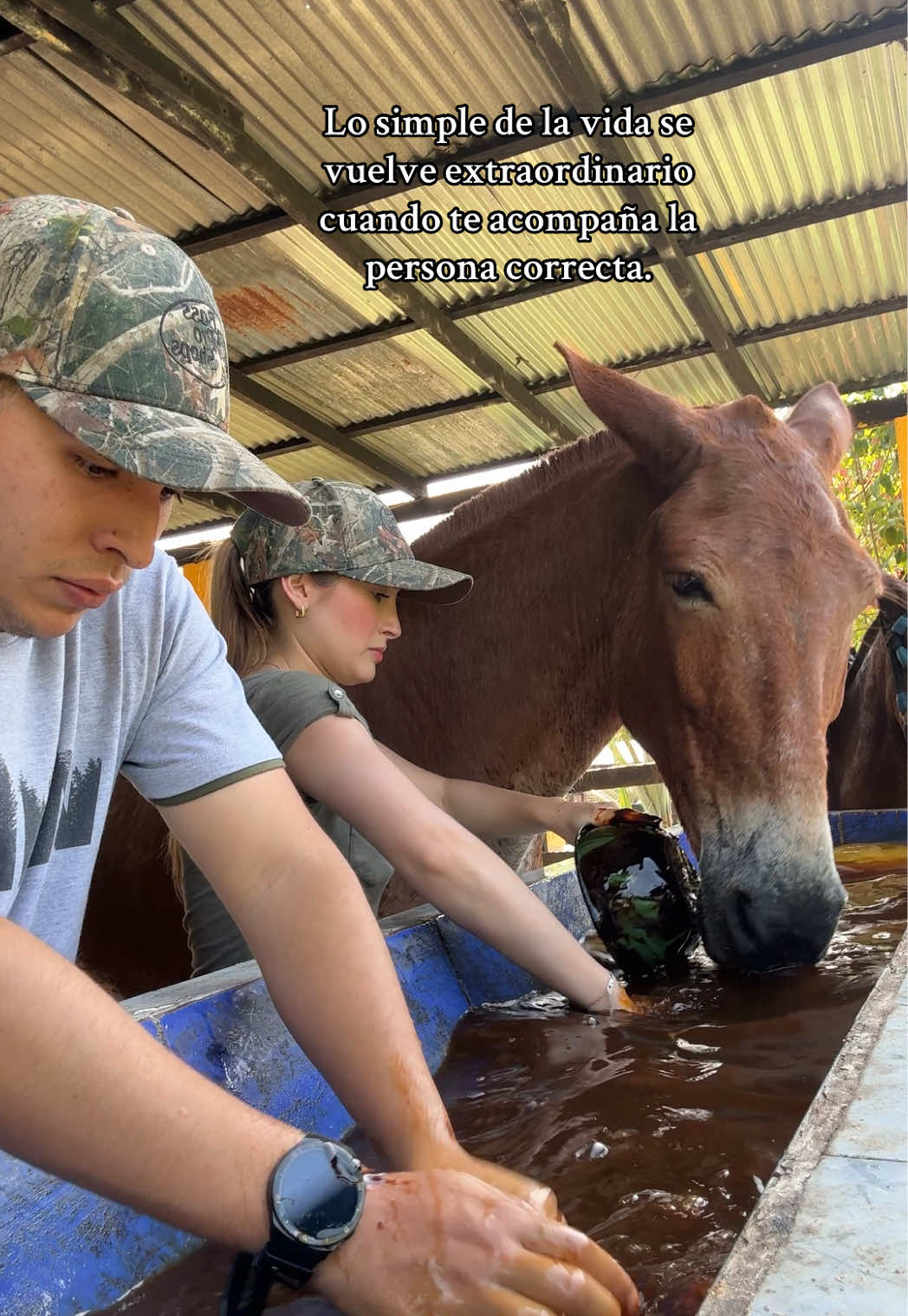 Solo falta mirarla un instante😍… #finca #PasiónPorLosCaballos #ganaderia #agropecuarios #vidaderancho #parejasgoals #agrolife #fincas #ganado 