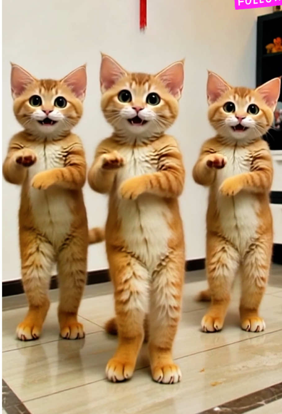 Watch this funny cat dancing with cute paw moves on the UGRRRR beat! 😹 For fans of funny cat content ¡Mira a este gato gracioso bailando con lindos movimientos de patas al ritmo de UGRRRR! 😹 Uno de los videos de gatos más divertidos que verás hoy. ¡Si te encantan los videos graciosos de gatos, este es para ti! 🐾✨ شاهد هذه القطة المضحكة ترقص بحركات لطيفة بيديها على إيقاع UGRRRR! 😹 من أظرف فيديوهات القطط اللي ممكن تشوفها اليوم. إذا كنت تحب فيديوهات القطط المضحكة، هذا الفيديو لك 🐾✨ #CatFunnyVideos   #PawDance   #DancingCat   #UGRRRR   #FunnyPets