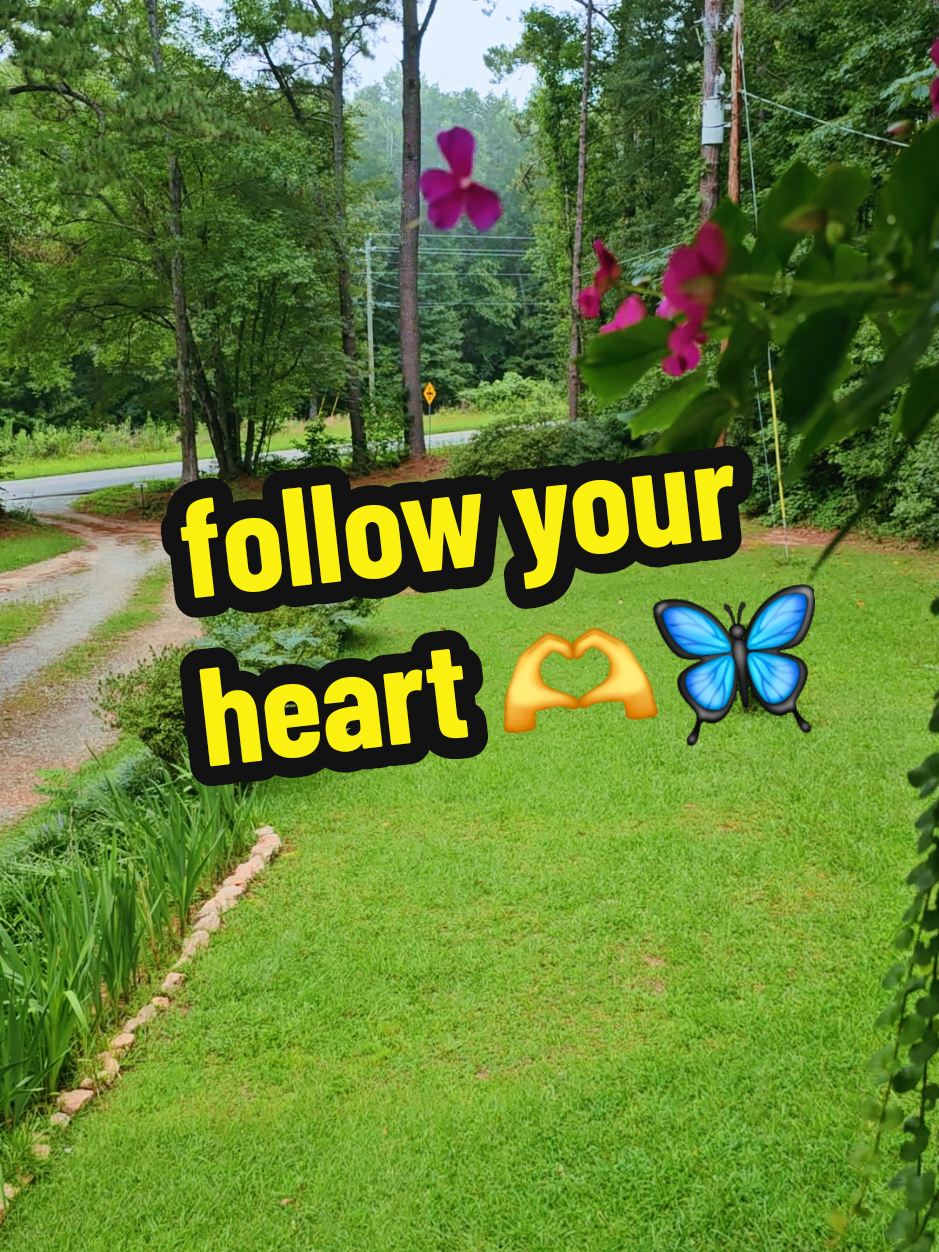 #butterfly #flower #garden #believe #dream  if this flower can become a butterfly before it dies, you can too! It's never too late to follow your heart!