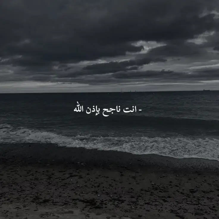 #نجاح #النجاح #البكالوريا #اكسبلور #الحمدلله_دائماً_وابداً 