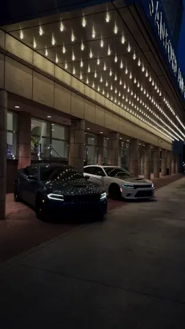 #تشارجرsrt #سيارات_فخمة #جارجرات_العراق #dodgechallenger #al4n_duski10 #al4n_srt 