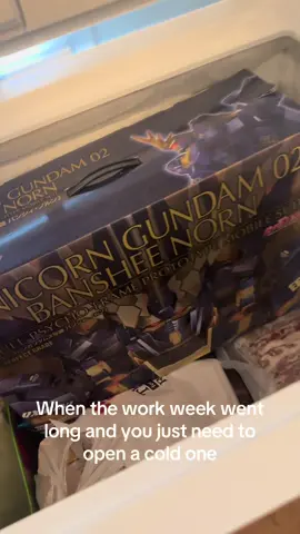Sometimes a you need a cold one to numb the pain #gundam #gunpla #viral #fyp #fypシ #hobby 