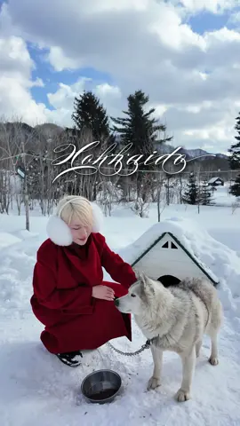 Lạc bước giữa xứ sở băng tuyết tại Hokkaido, nơi thiên nhiên thêu dệt nên một thiên đường lung linh giữa lòng Nhật Bản #lythanhy #travel #hokkaido #japan #viral #fyp 