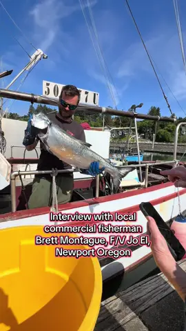 Interview with local commercial fisherman Brett Montague, F/V Jo El, Newport Oregon This was at the end of June, and as of now (mid July) the Albacore tuna season is open in Oregon so fishermen like Brett are out there catching them. Check out oregonalbacore.net > buy to find out how you can contact fishermen and buy fish directly or order canned Oregon Albacore online.  #oregon #newportoregon #albacoretuna #albacore #oregonseafood #tuna #salmon #chinooksalmon 