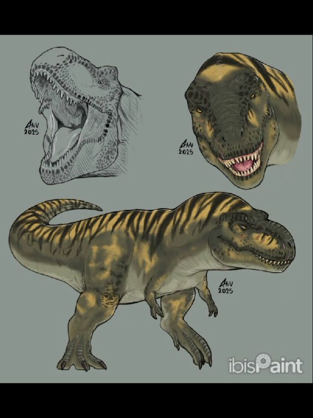 T-rex JWR (Ember) #ibispaintx #fyp #parati #foryou #fanart #dinosaurios #dinosaur #jurassicworldrebirtht #jurassicworld #tiranosauriorex 