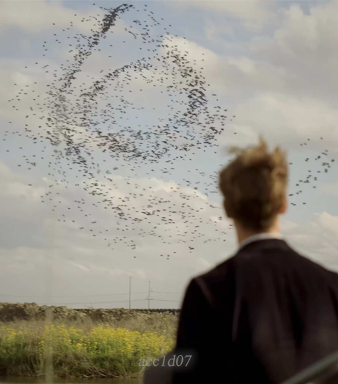 Best season 1 oat // first true detective edit lmk if i should do another //#truedetective#truedetectiveseason1#truedetectiveedit#rustcohle#rustcohleedit#mathewmcconaughey#martyhart#woodyharrelson#farfromanyroad#thehandsomefamily#fyp#viralvideos 