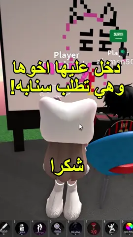فولو 