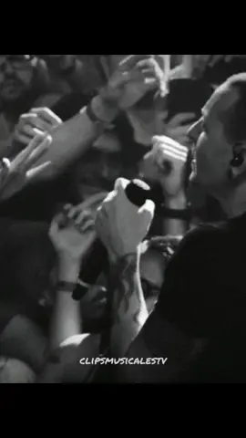 Crawling #linkinpark #crawling #linkinparkcrawling #onemorelight #chesterbennington #fyp #musica 