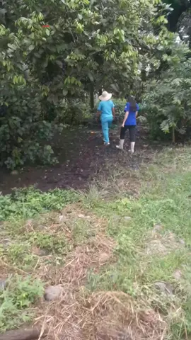 #rural_amazonica🧑‍⚕️🧑‍💼🇪🇨💊 #sacha_lago_san_pedro