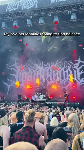 It’s actually a perfect combo. 😌🤘🏼 #metal #hevaymetal #music #nature #funny #fyp 