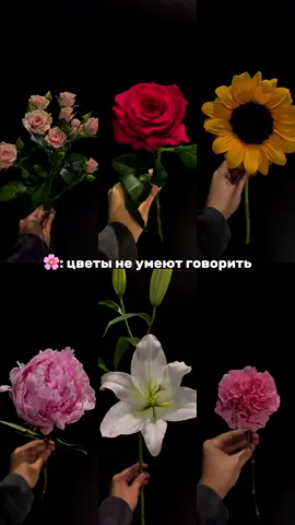 Каждый цветок имеет особое значение ❤️  #kamilas #доставляемлюбовь #цветыташкент #gullartoshkent #рекомендации #цветы 
