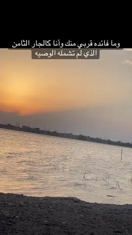 #العراق🇮🇶❤️ #البصرة #محافظات_العراق #هاشتاقات_تيك_توك_العرب #هاشتاق #تصوير #غروب #البصرةكربلاء__بغداد_الحبيبه_الناصريه 