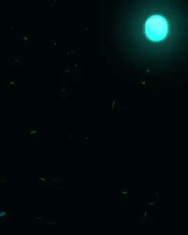 Another Interactive Car Edit #car #carsoftiktok #cars #caredit #edit #edits #tiktok #cartok #fyp #fypシ #viral #carviral #interactive #interactiveedit 