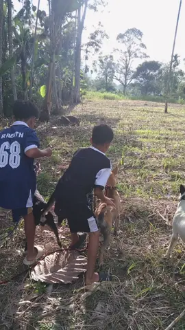 🔥pasukan⭐134LDt⭐🚀