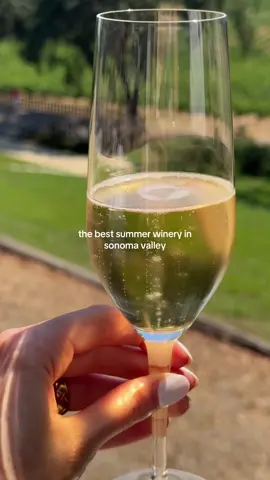 B.R Cohn Winery, Sonoma (Cabana Experience) 🍷 #sonomavalley #winetasting #thingstodoincalifornia #sonomabucketlist #sonomacounty 