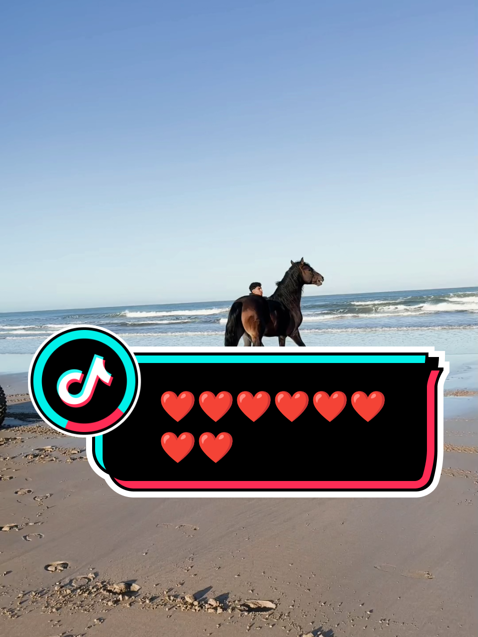 💕💕💕@SmileeHere88 #fyp #1million #trending #Love #dog #horse #cute 
