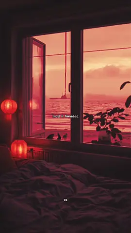 || qamarka  #qamar_sugaani #foryou #cglyrics #somaliatiktok #somalimusic 