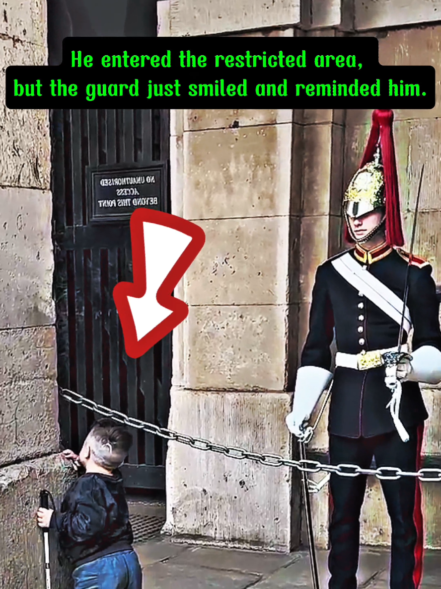 heart warming moment 💕 #buckinghampalace #peterellis #horseguardsparade #militaly #royalfamily #kingsguards #fyp #viral #f 