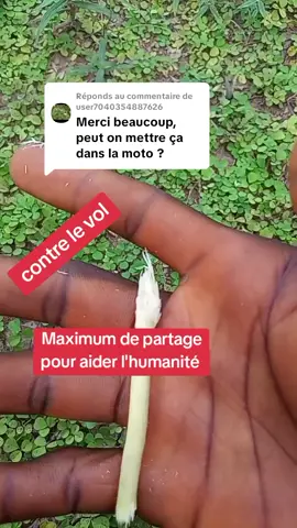 Réponse à @user7040354887626 