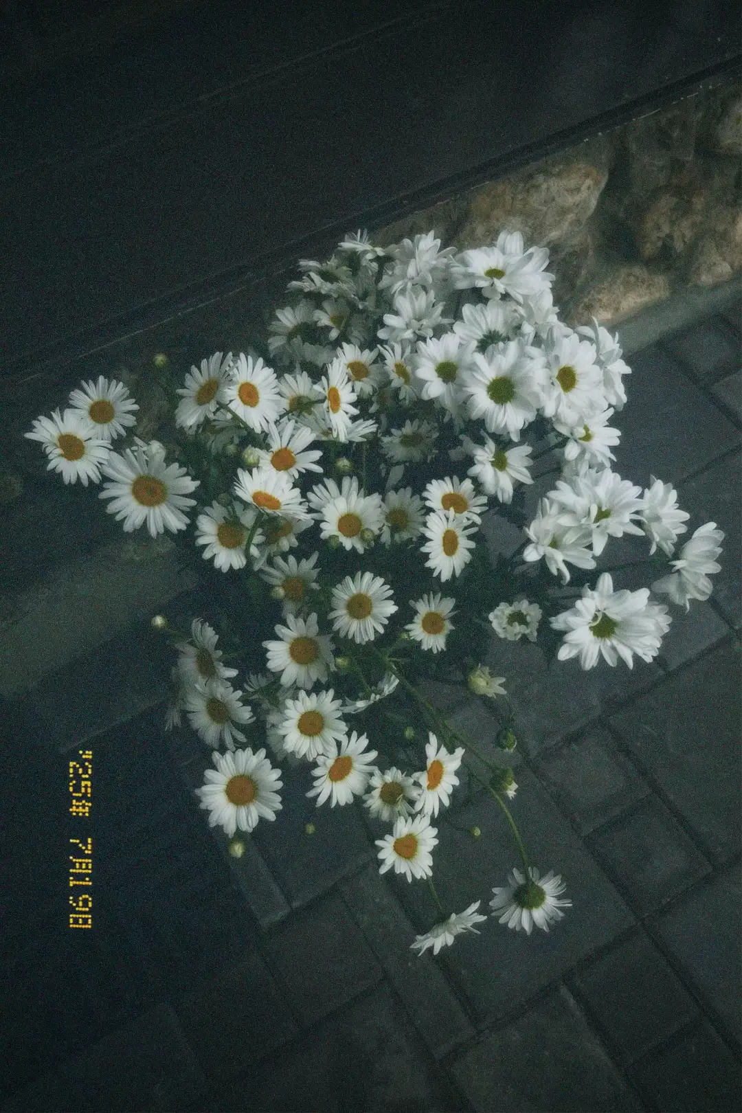 #foryou #fyp 