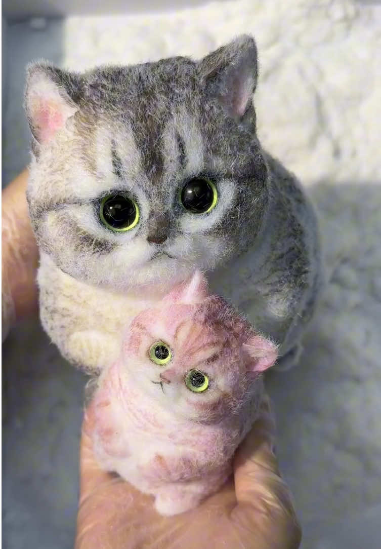 Two chubby little guys.#squishy #DIY #cat #handmade #cute #kitty #art 