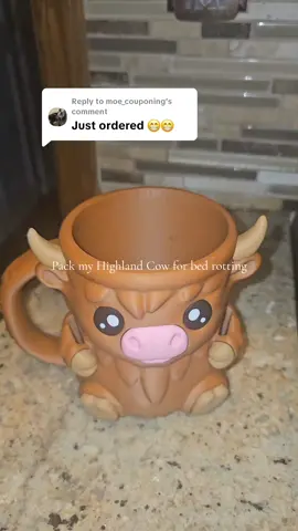 Replying to @moe_couponing link above #freeshipping #tiktokshop #dealsforyoudays #icecreamholder #icecream #icecreamlover #tiktokmademebuyit 