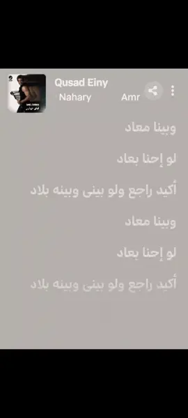 #قصاد_عيني  #عمرو_دياب  البوم ليلي نهاري 