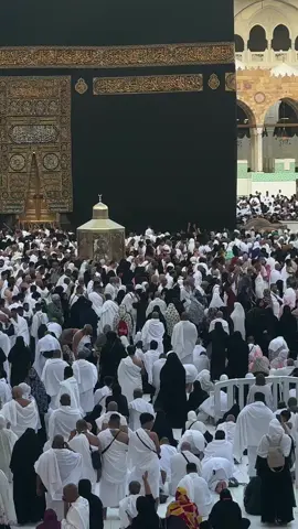 Mashallah 