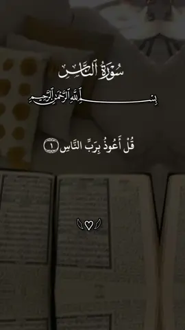سورۃ الناس #qurantalawata1 #قران_تلاوت #راحة_نفسية #قران 