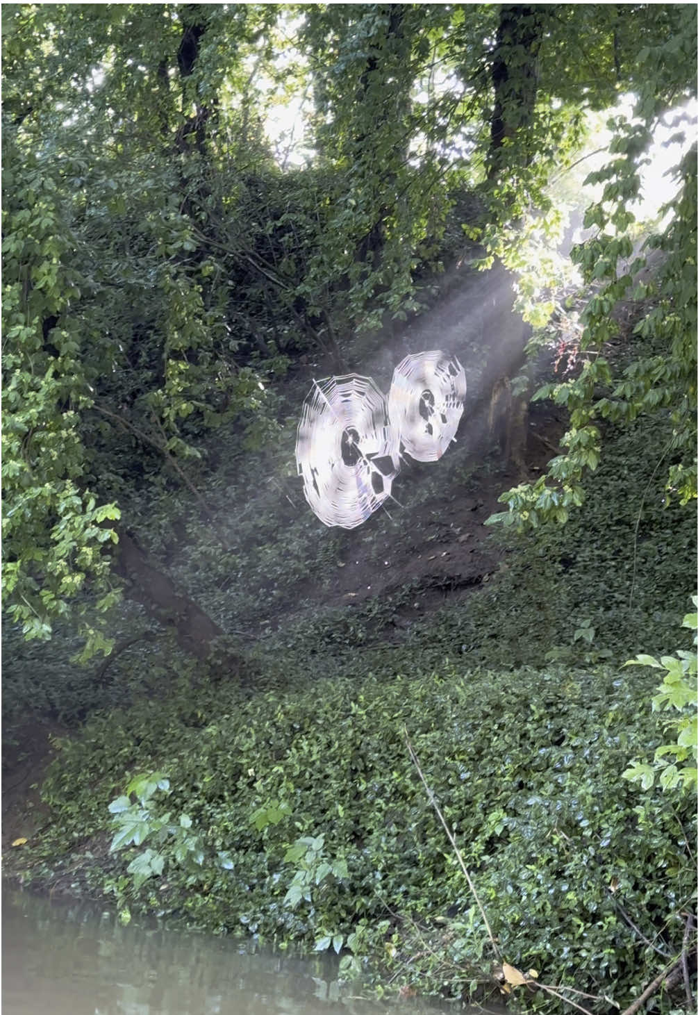 What are the odds I float by at the perfect time to document this?! 🤯 #explore #kayak #river #spiderweb #spider #nature #foryou 