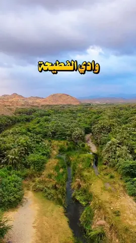 وادي الفطيحة و غابات الدوم  بجازان #تصويري #fyp #السعوديه 
