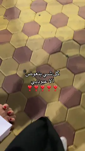 #مالي_خلق_احط_هاشتاقات #اكسبلورexplore #fyp 