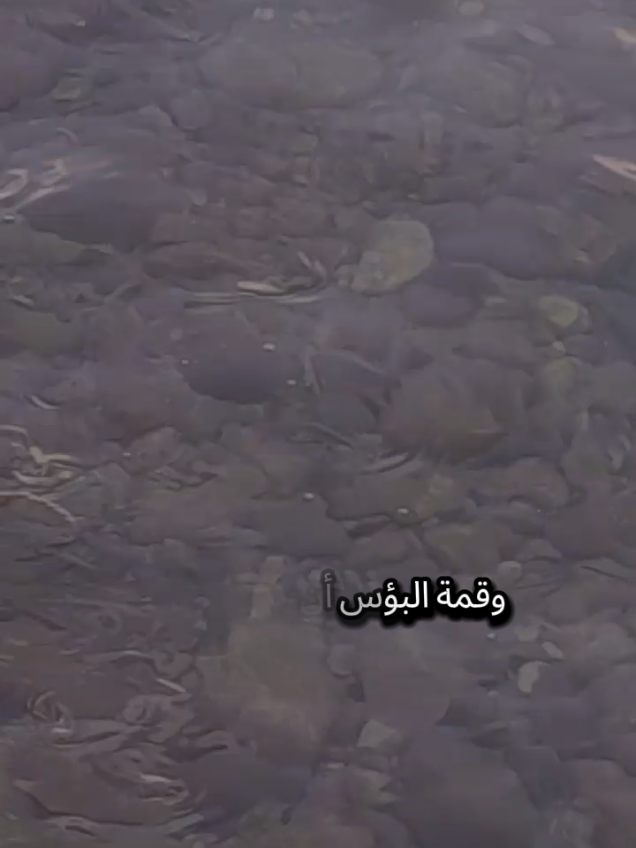وقمة البؤس أن تبكيك ذاكرة بمنزل كنت دوماً فيه تبتسم أعلل النفس عل العين تلمحو النفس تدري يقيناً أنهم رحلوا #تركيا #اسطنبول #الغربة #مغترب #شعروقصايد 