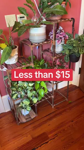 3 Toer Wooden Plant Stand on sale today. 