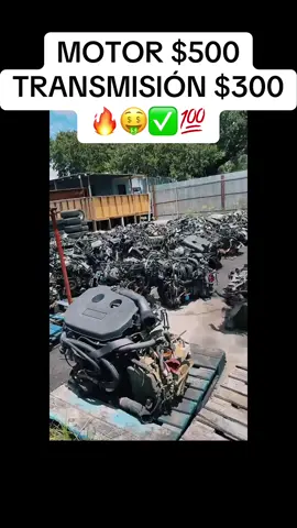 #tiktoklive #livehighlights 