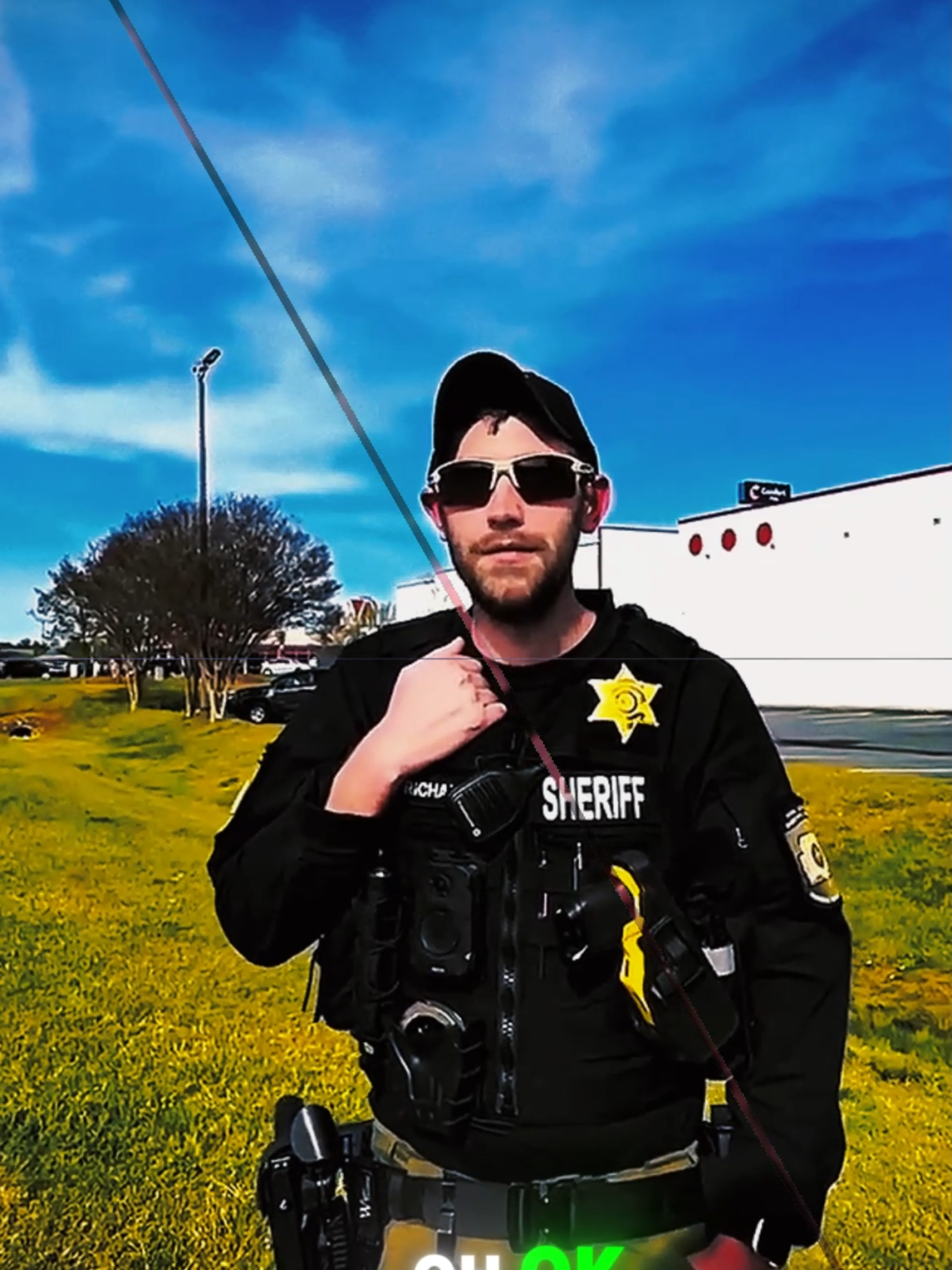 audit cops#auditcops #audit #auditingamerica #fypusa #tiktokusa
