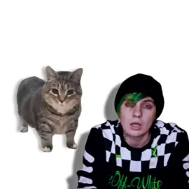 LIDA - АСПИРИН, but it's Oiiai Cat Remix (uiiai) #mashup #remix #cat #lida #аспирин #лида #лиданавсегда #uia #oiiaiiooiiai @Lida 