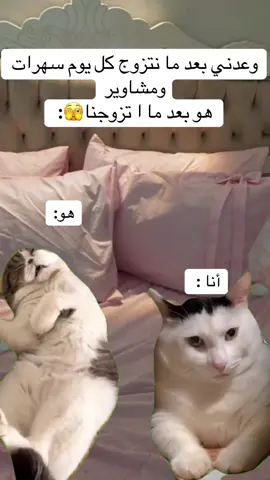 #Meme #MemeCut #تصميمي #فديوهات #عرب_تيك_توك 