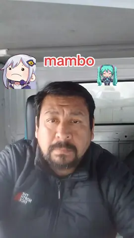 mambo#anime #umamusumeprettyderby #bledit #yeditepe #umamusume #tiktokindia #fyppppppppppppppppppppppp 