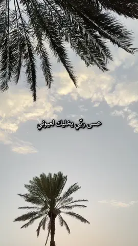 عبد المجيد عبد الله عسى ربي #عبدالمجيدعبدالله #عبدالمجيد #عسى_ربي #احساس #مشاعر #explore #flowers #fly #foryourpages #fypシ #العين 